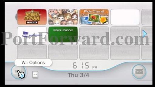 wii_options.jpg